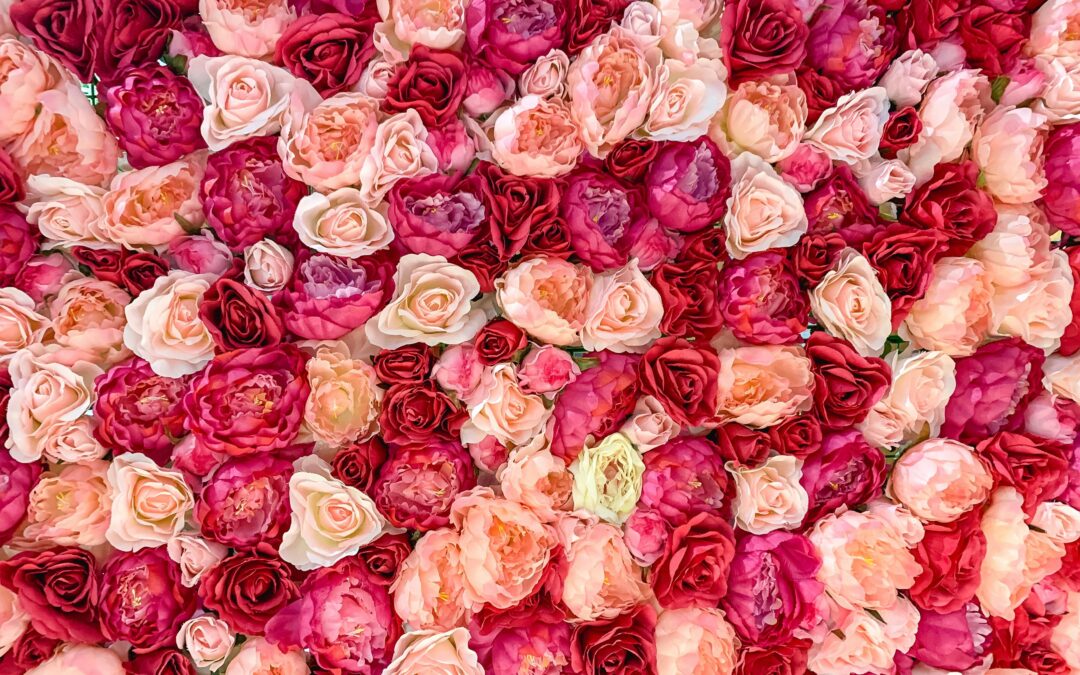 Valentine’s Day Reflection