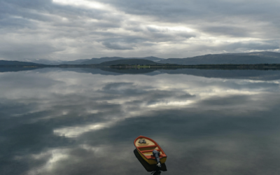 Adrift